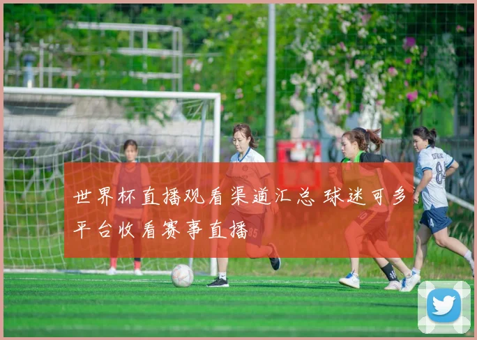 世界杯直播观看渠道汇总 球迷可多平台收看赛事直播