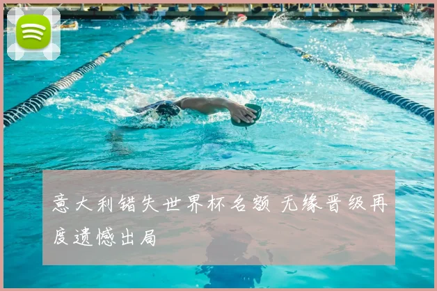 意大利错失世界杯名额 无缘晋级再度遗憾出局
