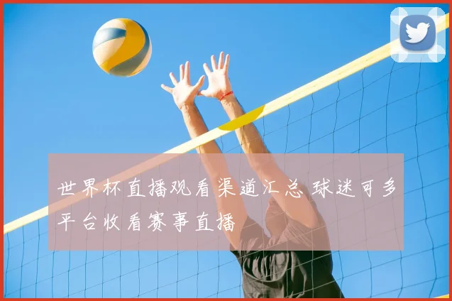 世界杯直播观看渠道汇总 球迷可多平台收看赛事直播