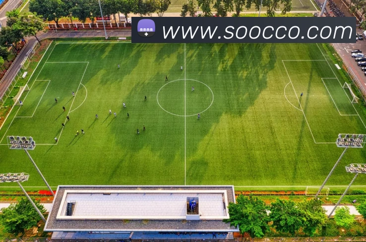 App Interface Preview